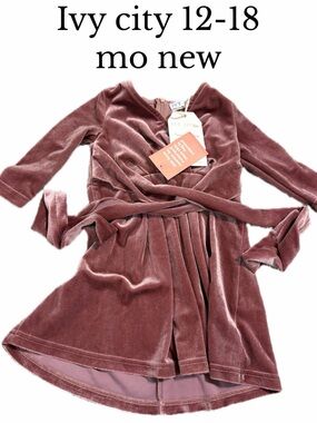 Ivy city 12-18 month new velvet mini dress
